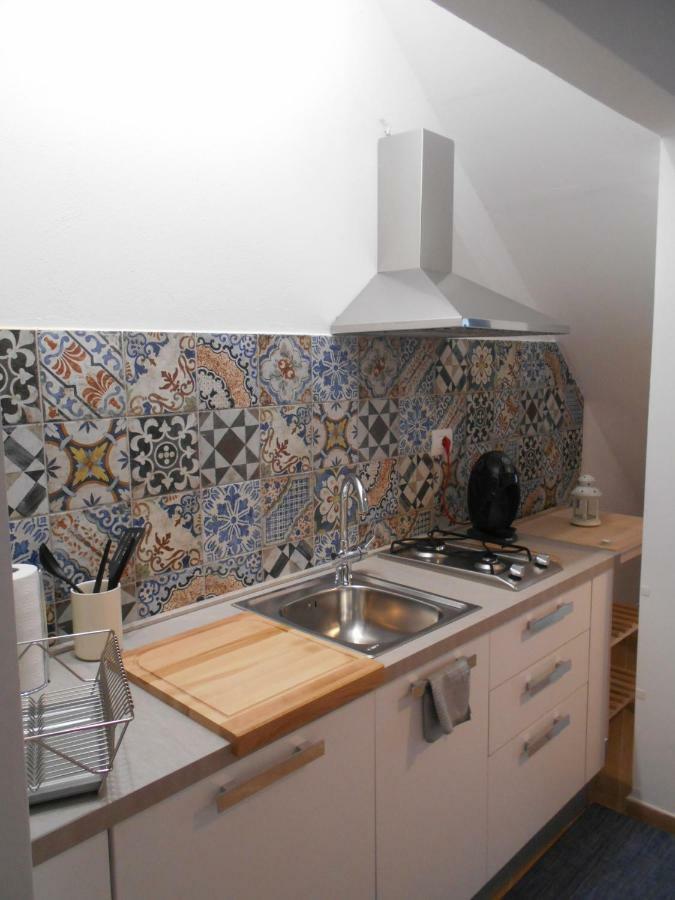 Civico 47 Apartment Pisa Bagian luar foto