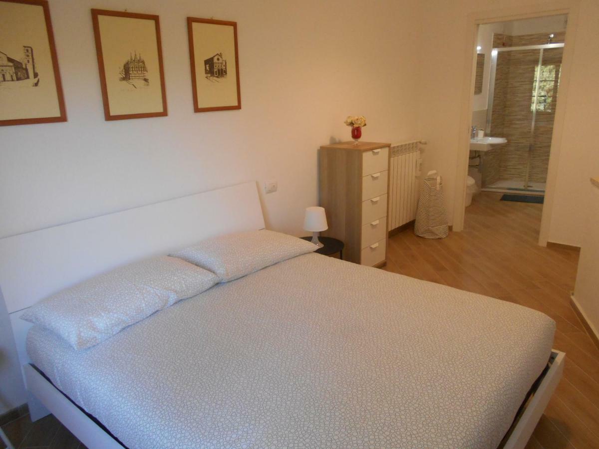 Civico 47 Apartment Pisa Bagian luar foto
